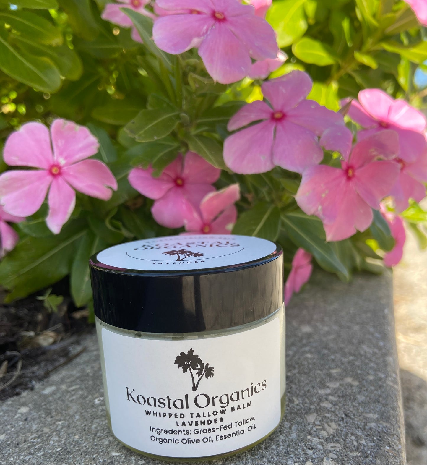 Whipped Tallow Balm (Lavender)