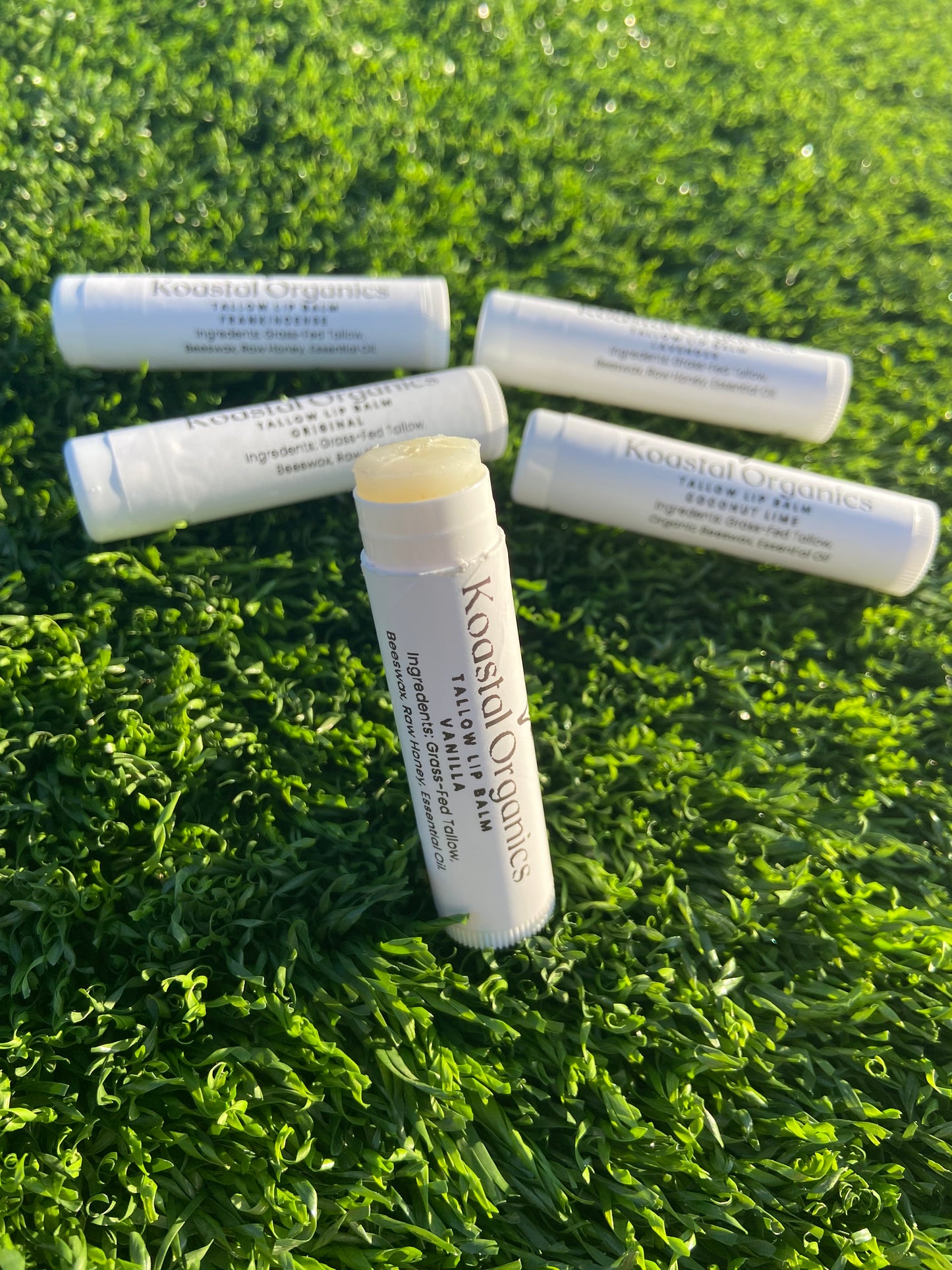 Raw Honey Tallow Lip Balm